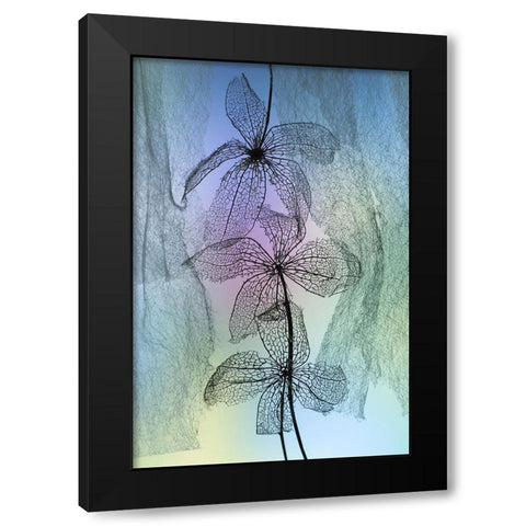 3 Flowers Black Modern Wood Framed Art Print by Kowatari, Shihya