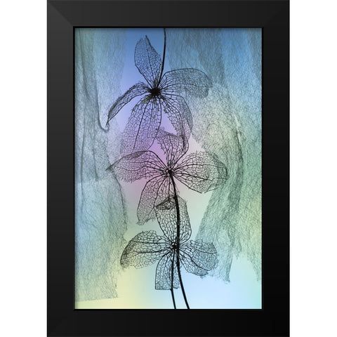 3 Flowers Black Modern Wood Framed Art Print by Kowatari, Shihya