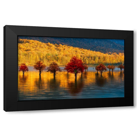 Golden sunset Black Modern Wood Framed Art Print by Fallahzadeh, Ali