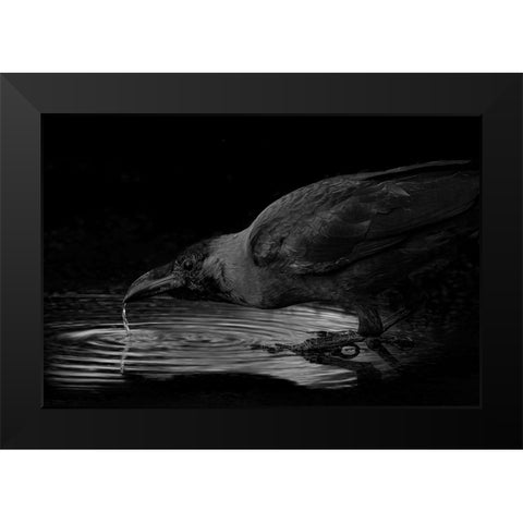 Water Black Modern Wood Framed Art Print by Zaeitar, Ahmed