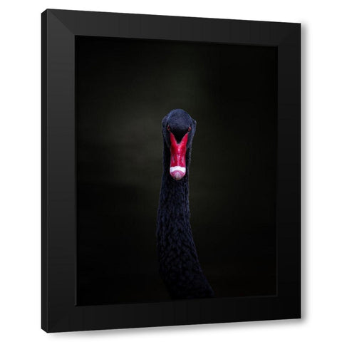 Portrait Of A Black Swan Black Modern Wood Framed Art Print by Tennant, Julie