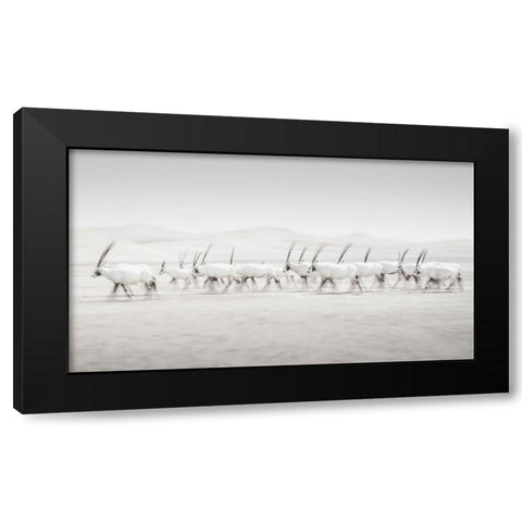 Movement Black Modern Wood Framed Art Print by Newton, Dan