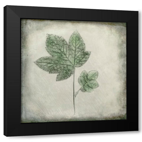 Before the Decay Black Modern Wood Framed Art Print by Kiral, Cicek