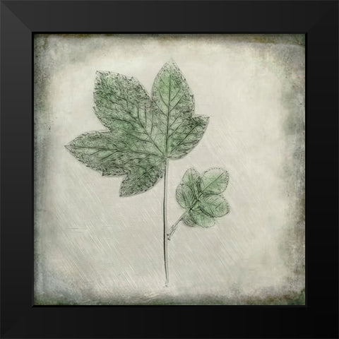 Before the Decay Black Modern Wood Framed Art Print by Kiral, Cicek