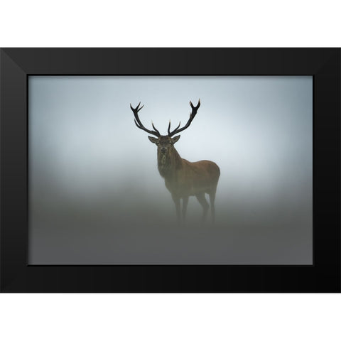 Ephemerality Black Modern Wood Framed Art Print by Rudchenko, Olga