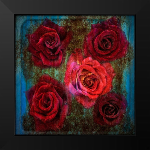 Old Love Never Dies Black Modern Wood Framed Art Print by Holmstrom, Katarina