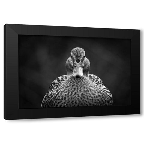 Look at me Black Modern Wood Framed Art Print by Pfeiffer, Peter