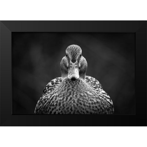 Look at me Black Modern Wood Framed Art Print by Pfeiffer, Peter