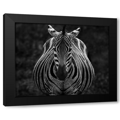 Stare Black Modern Wood Framed Art Print by Chen, Jiong