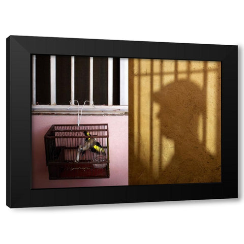 El Aleteo Black Modern Wood Framed Art Print with Double Matting by Angel Franco, Miguel