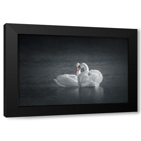 Public Display of Affection Black Modern Wood Framed Art Print with Double Matting by Hu, Mei