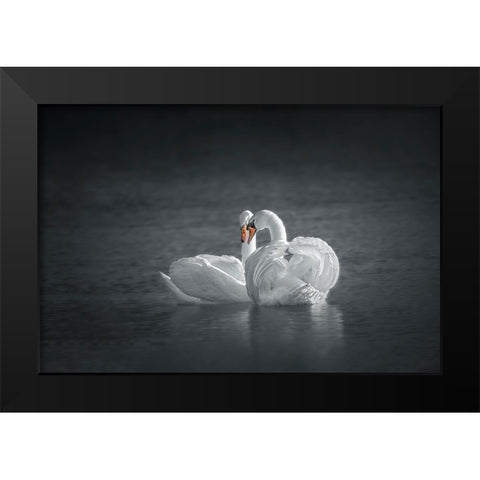 Public Display of Affection Black Modern Wood Framed Art Print by Hu, Mei