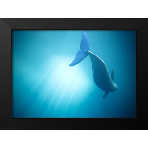 Velure Moana Black Modern Wood Framed Art Print by Lintaman, Adachi