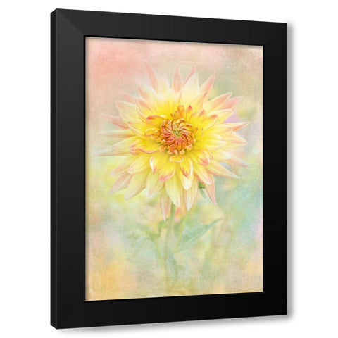 Lemon Spritz Black Modern Wood Framed Art Print by Parker, Jacky