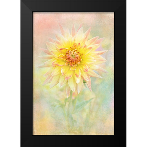 Lemon Spritz Black Modern Wood Framed Art Print by Parker, Jacky