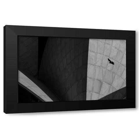 LOTUS TEMPLE Black Modern Wood Framed Art Print with Double Matting by Chawla, Shobhit