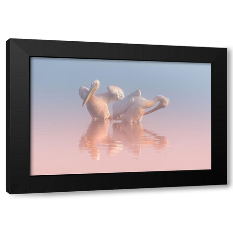 Two Pelicans Black Modern Wood Framed Art Print by Rublina, Natalia