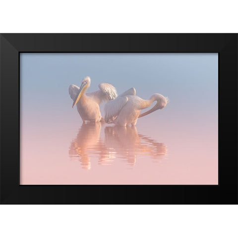 Two Pelicans Black Modern Wood Framed Art Print by Rublina, Natalia