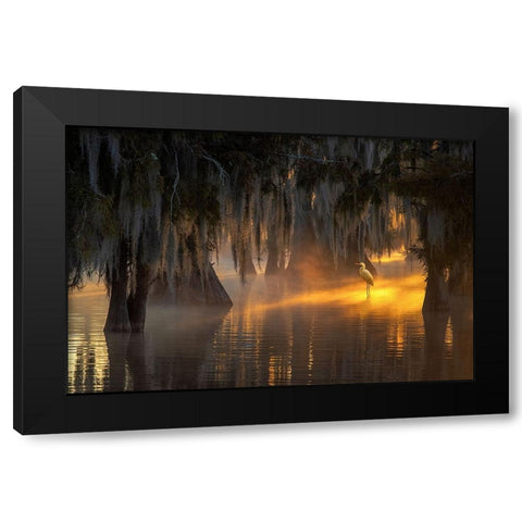 Under Spanish Moss Black Modern Wood Framed Art Print by Mao, Dianne