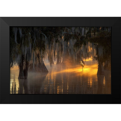 Under Spanish Moss Black Modern Wood Framed Art Print by Mao, Dianne