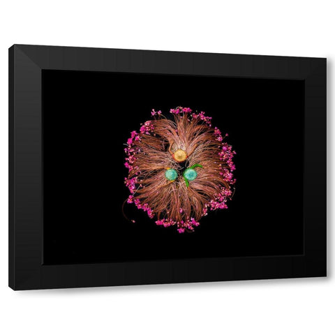 COLORS OF LIFE Black Modern Wood Framed Art Print with Double Matting by Adikary, Sujon