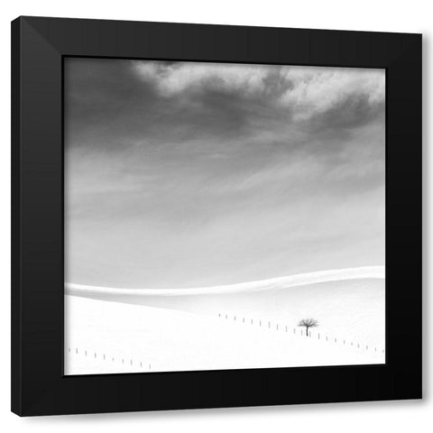 Single tree Black Modern Wood Framed Art Print with Double Matting by Nodeh, Mostafa