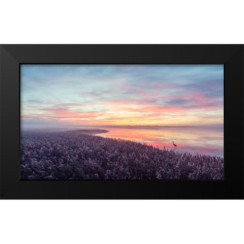 The herons morning view. Black Modern Wood Framed Art Print by Londal, Leif