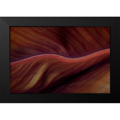 The Red Desert Dunes Black Modern Wood Framed Art Print by Wechsler, Robin