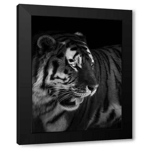 The king Black Modern Wood Framed Art Print by Zhao, Alex