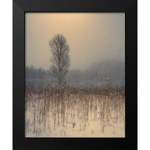 Untitled Black Modern Wood Framed Art Print by Gialopoulos, Anastasios