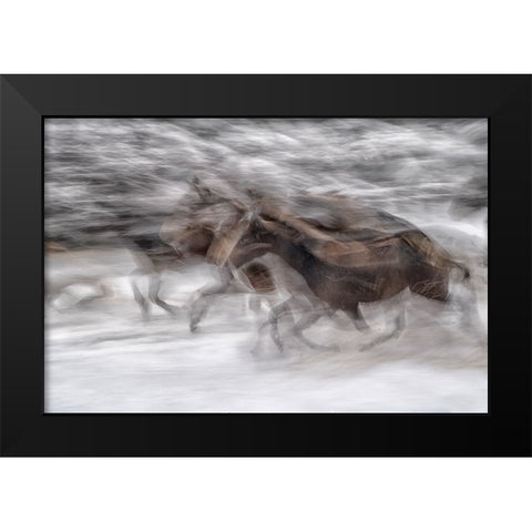 black dominance Black Modern Wood Framed Art Print by Malovrh, Milan