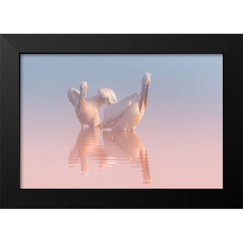 Two Pelicans Black Modern Wood Framed Art Print by Rublina, Natalia