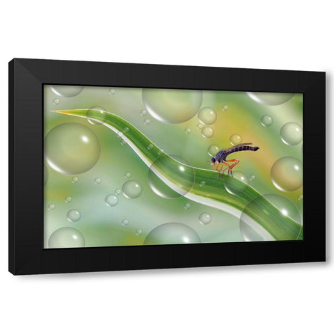 Migration To Another Planet... Black Modern Wood Framed Art Print by Dufour, Thierry