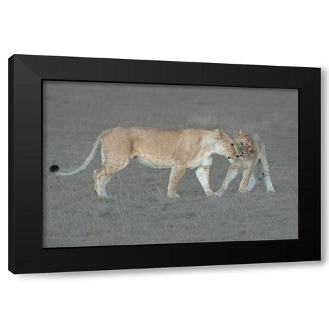 I love you, Mom! Black Modern Wood Framed Art Print by Xu, Sheila