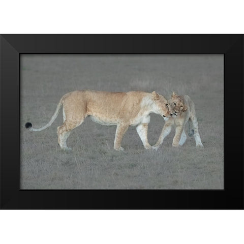 I love you, Mom! Black Modern Wood Framed Art Print by Xu, Sheila