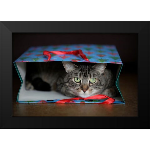 My Greatest Gift! Black Modern Wood Framed Art Print by Wenner-Braun, Antje