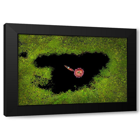 Harvesting Waterlily Black Modern Wood Framed Art Print with Double Matting by Adikary, Sujon