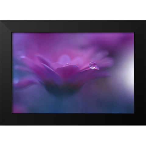 Without Form, Without Limit...II Black Modern Wood Framed Art Print by Nan, Juliana