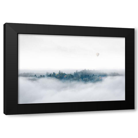 Misty Morning Surprise Black Modern Wood Framed Art Print by Bergolth, Matthias