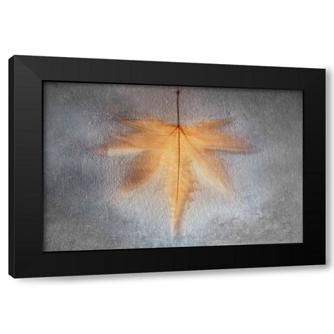 Illusions Of The Past Black Modern Wood Framed Art Print with Double Matting by Kiral, Cicek