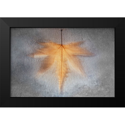 Illusions Of The Past Black Modern Wood Framed Art Print by Kiral, Cicek