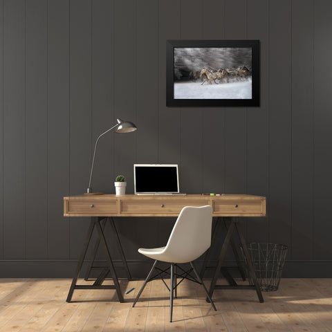 Winter joy Black Modern Wood Framed Art Print by Malovrh, Milan