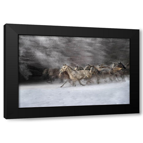 Winter joy Black Modern Wood Framed Art Print by Malovrh, Milan