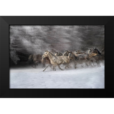 Winter joy Black Modern Wood Framed Art Print by Malovrh, Milan