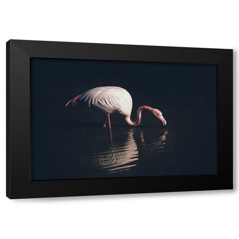 Enlighted Flamingo Black Modern Wood Framed Art Print by Tagliarino, Marco