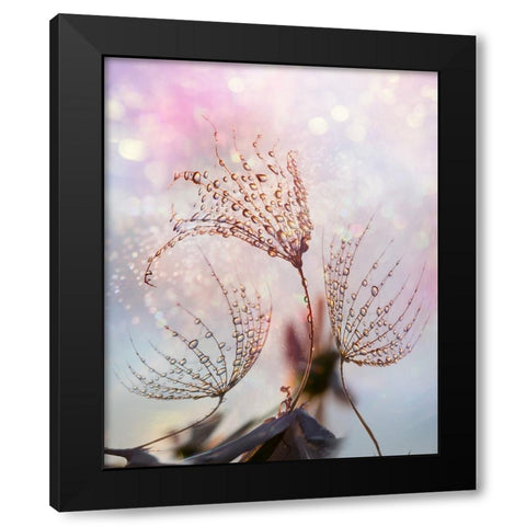 macro Black Modern Wood Framed Art Print with Double Matting by Markova, Tanya