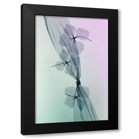 3 Flowers Black Modern Wood Framed Art Print with Double Matting by Kowatari, Shihya