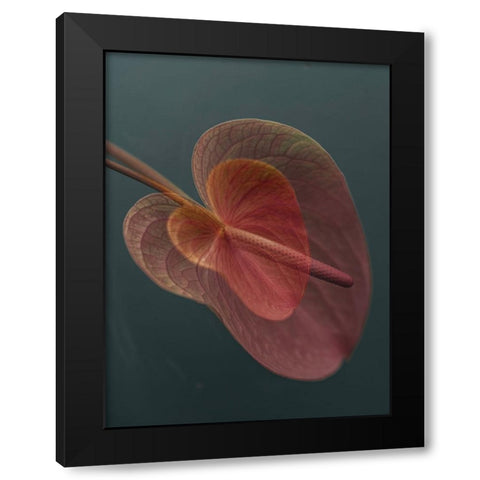 Heart_2 Black Modern Wood Framed Art Print by Basso, Donatella