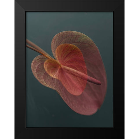 Heart_2 Black Modern Wood Framed Art Print by Basso, Donatella