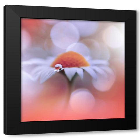 Summer Mood.. Black Modern Wood Framed Art Print by Nan, Juliana